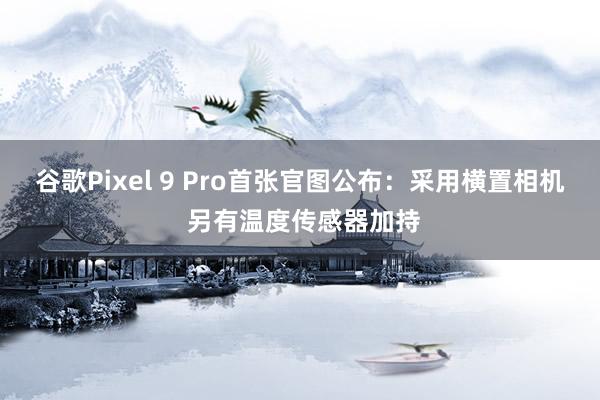 谷歌Pixel 9 Pro首张官图公布：采用横置相机 另有温度传感器加持
